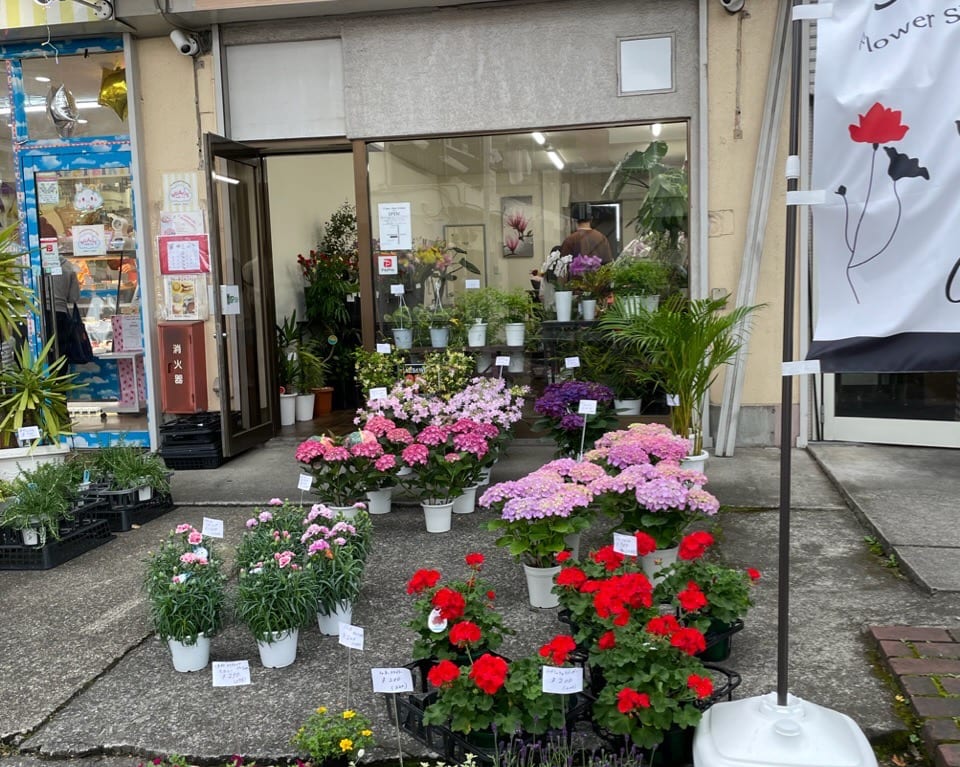 flower shop bloana