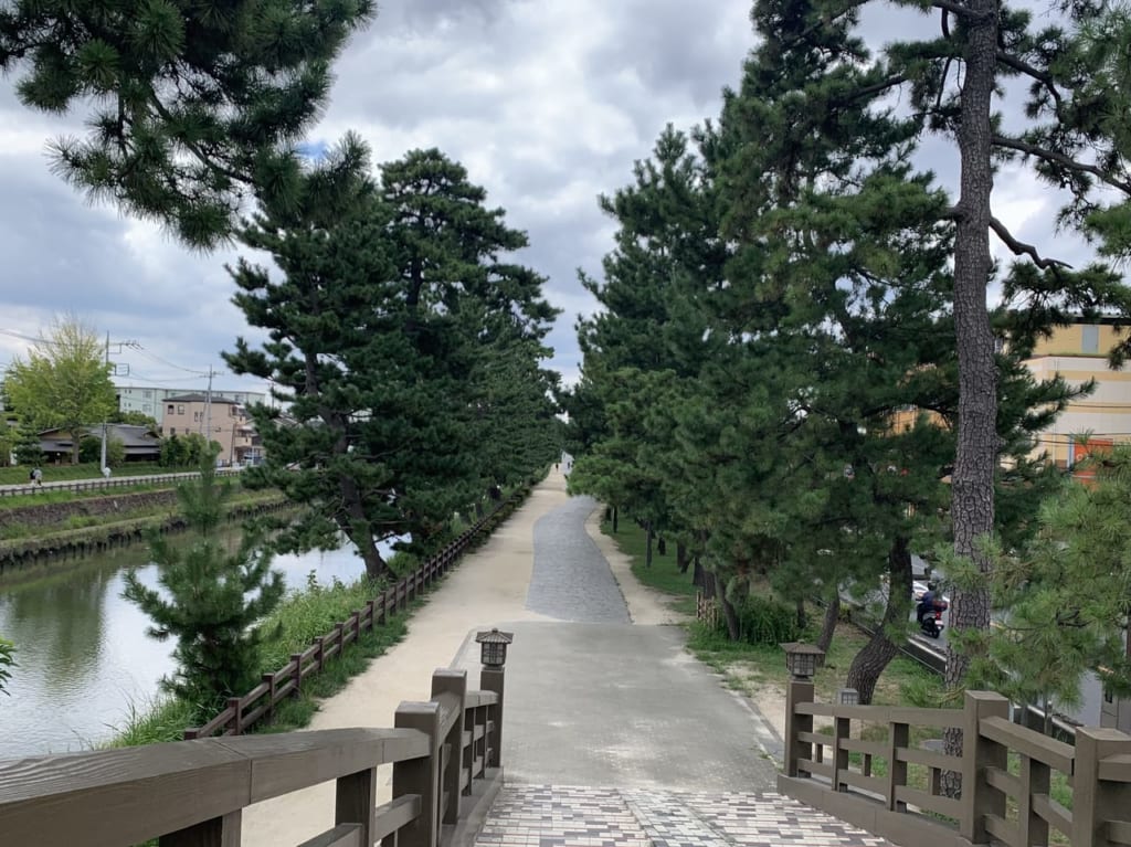 まつばらンタン