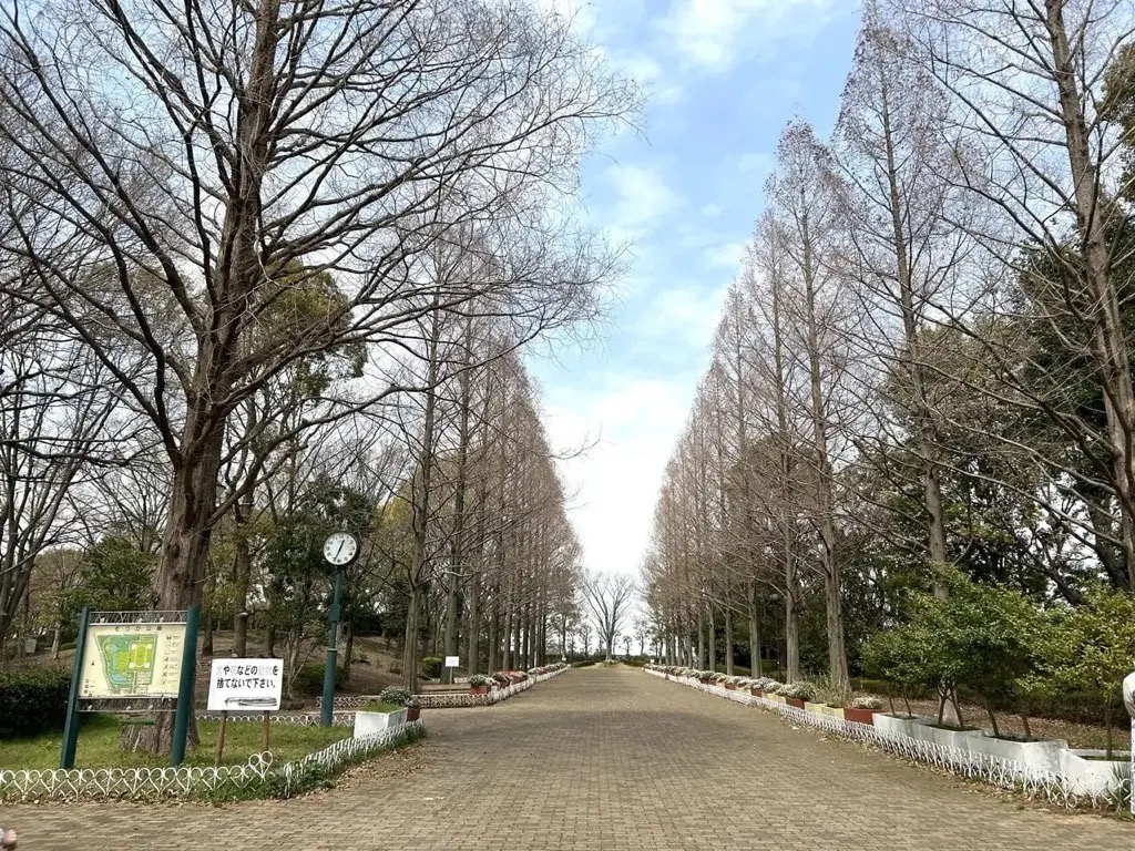 草加市健康駅伝大会