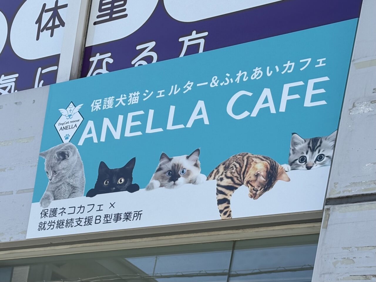 ANELLA CAFE(アネラカフェ)谷塚店