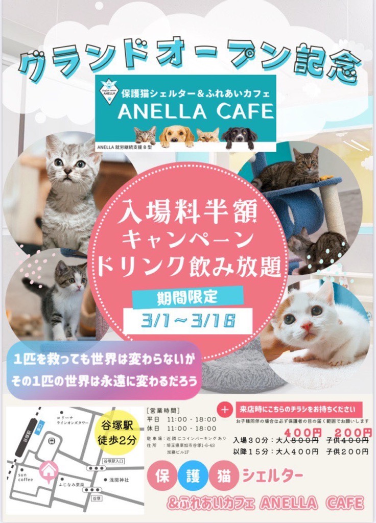 ANELLA CAFE(アネラカフェ)谷塚店