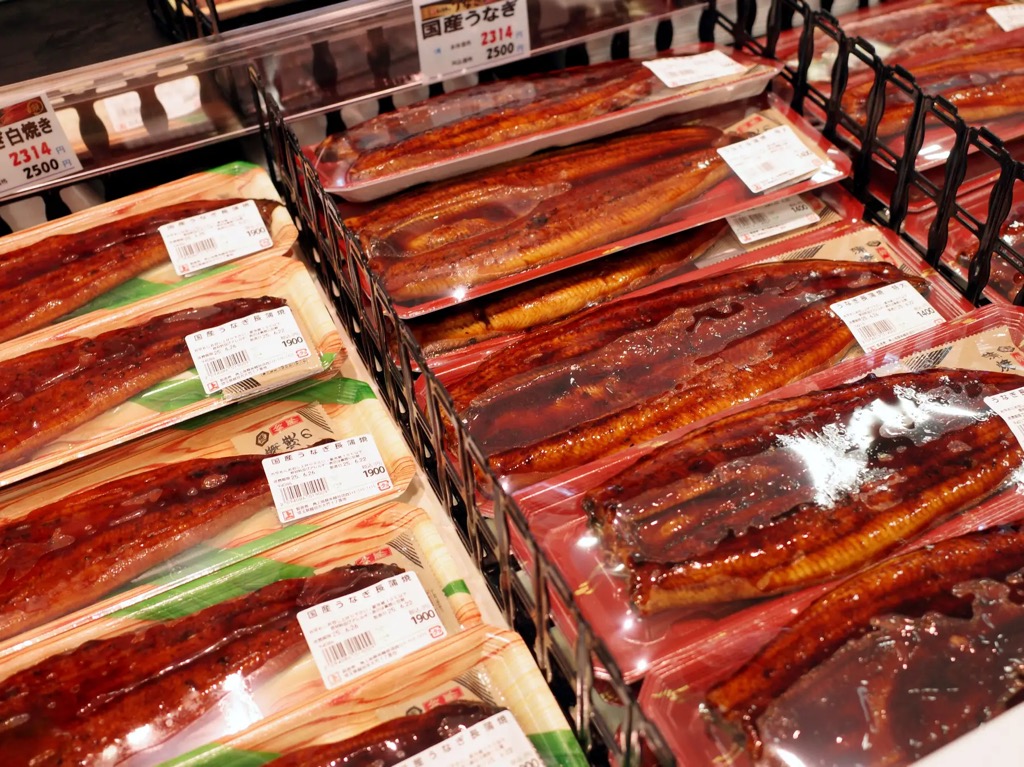 角上魚類 土用の丑の日 うなぎ焼きたて販売