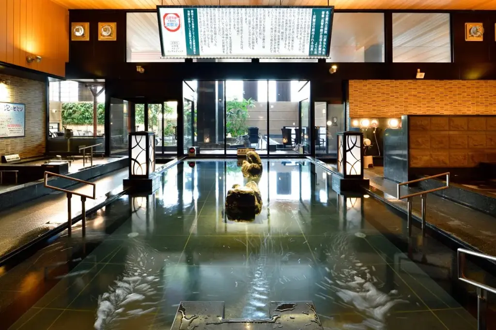 竜泉寺の湯草加谷塚店