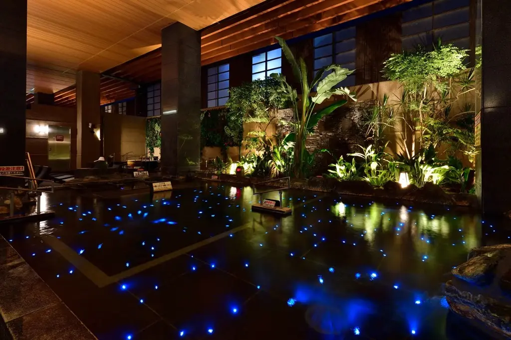 竜泉寺の湯草加谷塚店