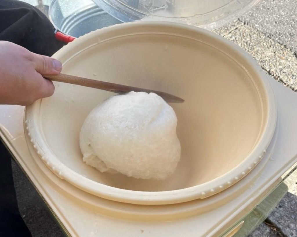 そうかお正月さんぽ２０２６