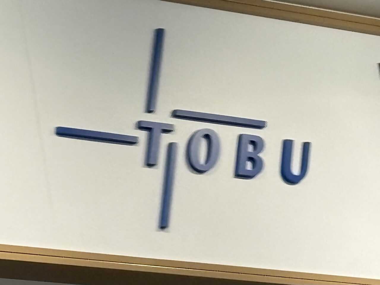 東武線 小児運賃全額ポイントバッグ 実質無料