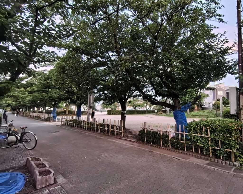 中根町七夕まつり